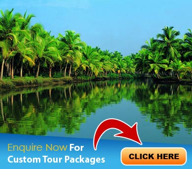 Kochi Tour Packages